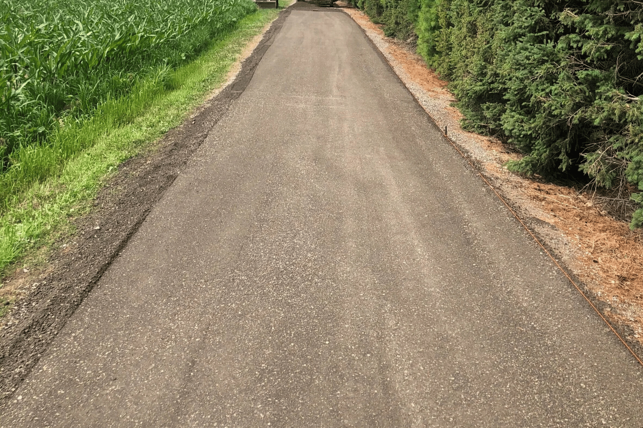chemin-bois-remplissage-planage-quebec